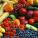 Facts about Fiber